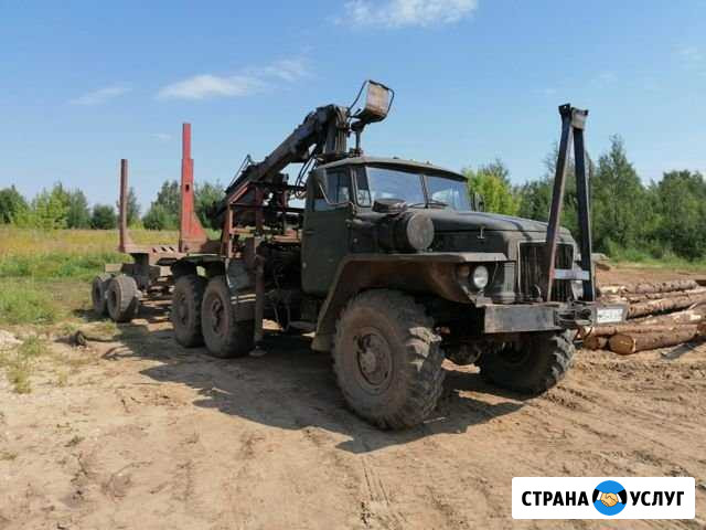 Услуги лесовоза с гидроманипулятором Суздаль - изображение 1
