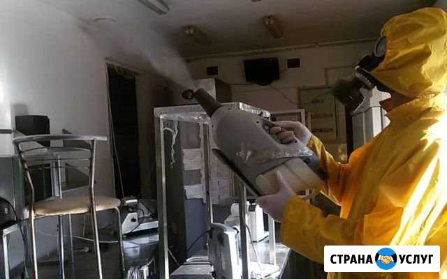 Дезинфекция, Уничтожение Тараканов Клопов Мышей Шахты - изображение 1
