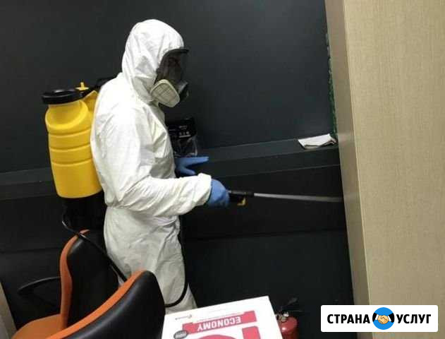 Уничтожение клопов, тараканов, блох, муравьёв Москва - изображение 1