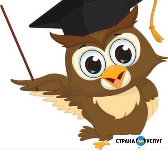 Репетитор история обществознание Калуга - изображение 1