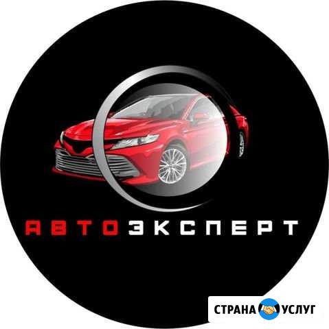 Автоподбор. Автоэксперт Железногорск - изображение 1