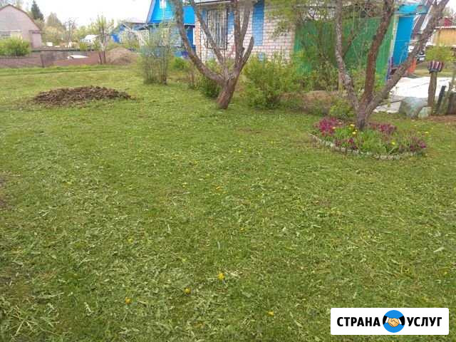 Покос травы спил деревьев Торжок - изображение 1