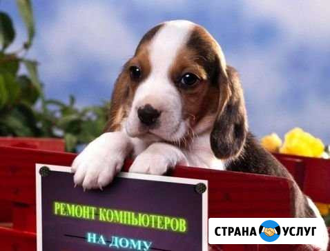 Компьютерный мастер, бесплатная диагностика/выезд Нижний Новгород - изображение 1