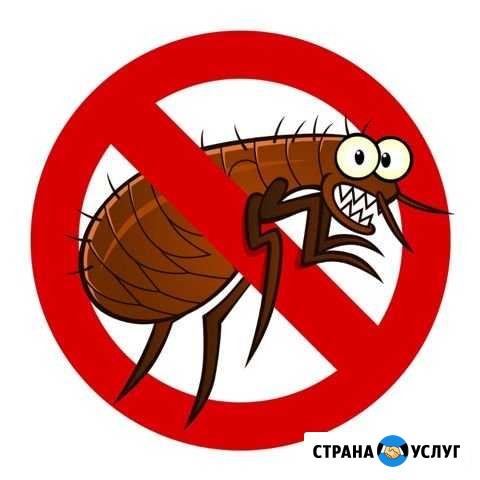 Уничтожеие Блох Тараканов Муравьев Клещей в Тавде Тавда - изображение 1