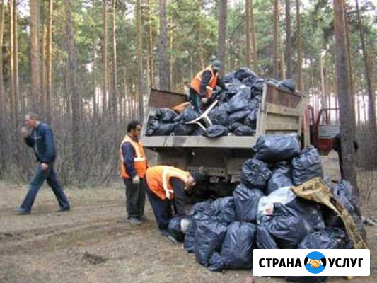 Вывоз бытового мусора Тула - изображение 1
