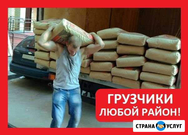 Грузчики Вологда - изображение 1