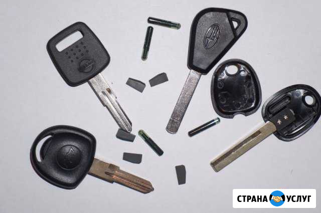 Автосигнализации. Чипы и автомобильные ключи, брел Котельниково - изображение 1