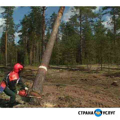 Спил деревьев Среднеуральск