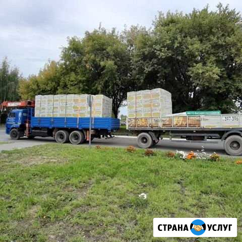 Камаз с прицепом кму Йошкар-Ола - изображение 1