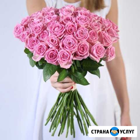 Роза Голландии и Эквадор Красноярск - изображение 1