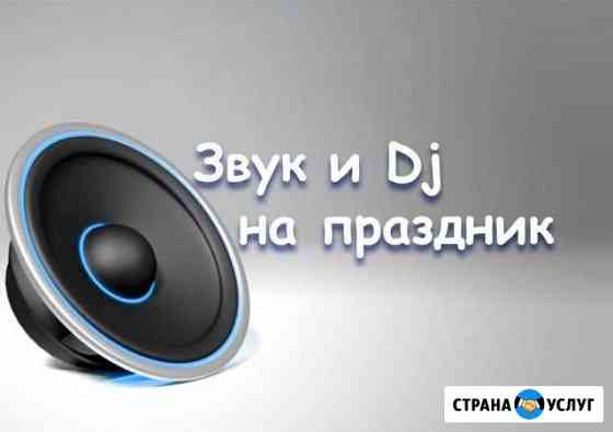 Звук и Dj на праздник Курган