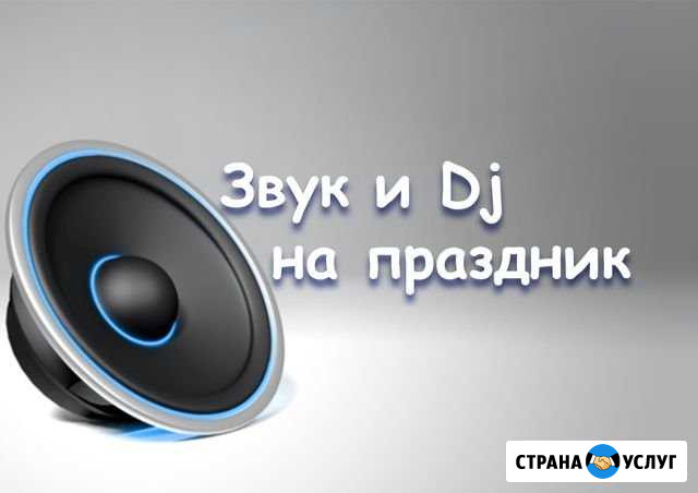 Звук и Dj на праздник Курган - изображение 1
