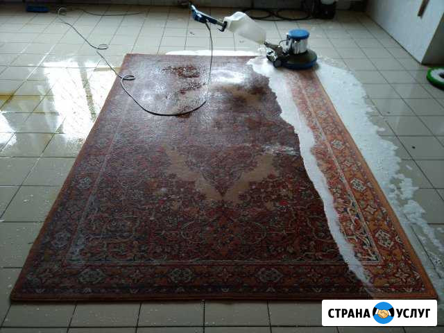 Профессиональная чистка ковров с доставкой на дом Ульяновск - изображение 1