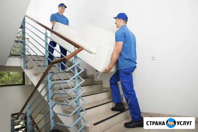 Грузчики/Грузоперевозки/Ессентуки Ессентуки - изображение 1