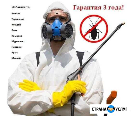 Дезенфекция помещений обработка от насекомых Тула - изображение 1