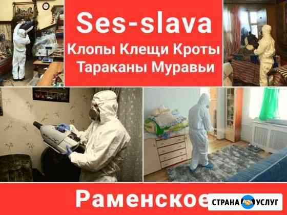 Уничтожение Клопов Тараканов Клещей Кротов Мышей Раменское