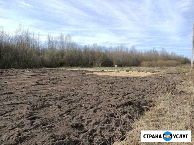 Подъем,отсыпка и выравнивание участков Тосно - изображение 1