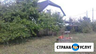 Покос травы.спил деревьев Калининград - изображение 1