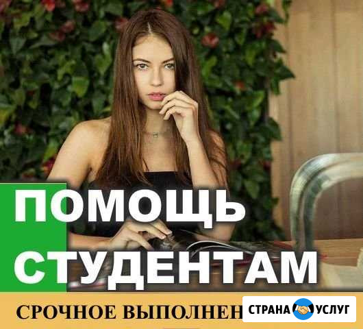 Оформлю отчет по практике Мурманск - изображение 1