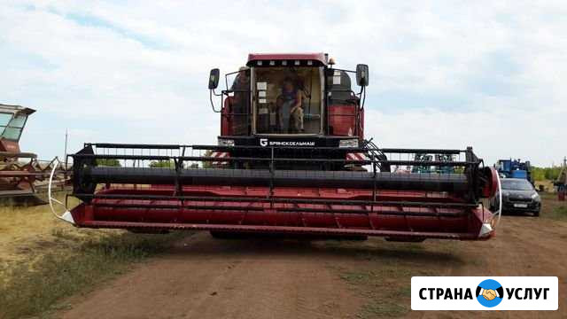 Услуги по уборке зерновых и подсолнечника Плешаново - изображение 1