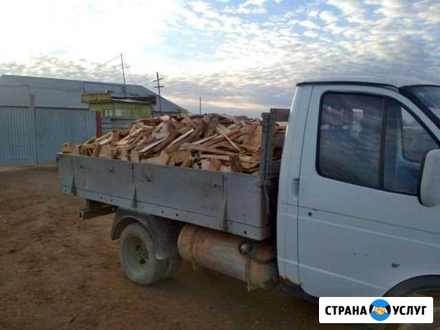 Для сада Нижний Тагил - изображение 1