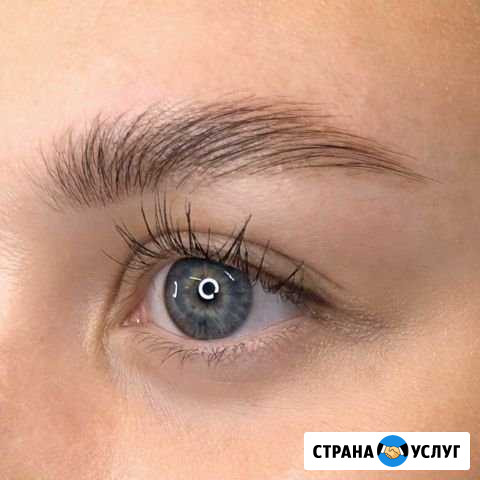 Оформление бровей / Долговременная укладка бровей Иваново - изображение 1