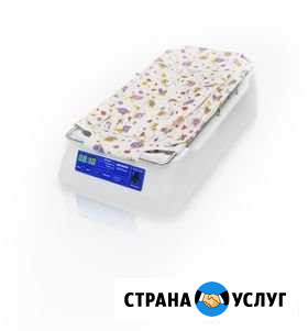 Лампа от желтушки, аренда Хабаровск - изображение 1