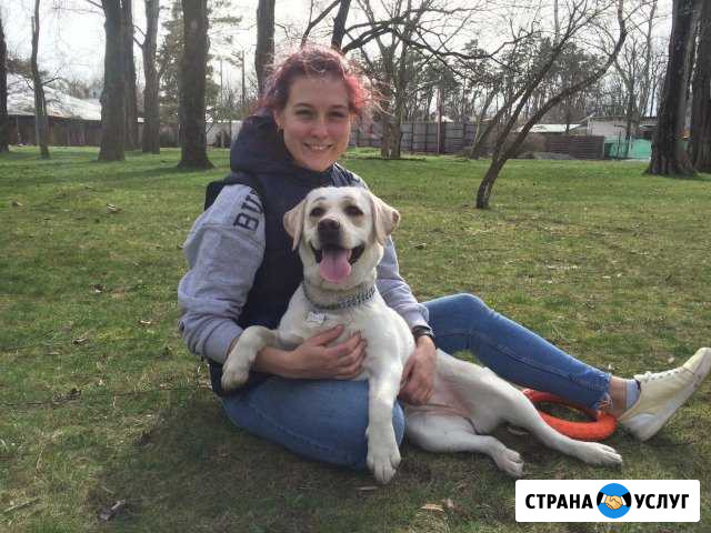 Домашняя передержка собак и кошек Краснодар - изображение 1