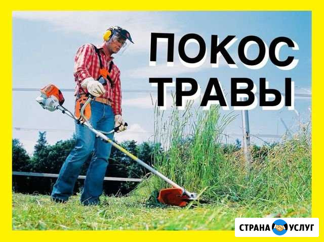 Покос травы. Топиарная растений. Стрижка кустов Волгоград - изображение 1