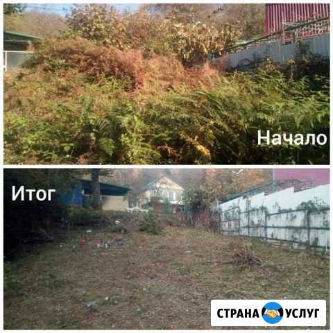 Расчистка участков,спил деревьев Сочи - изображение 1