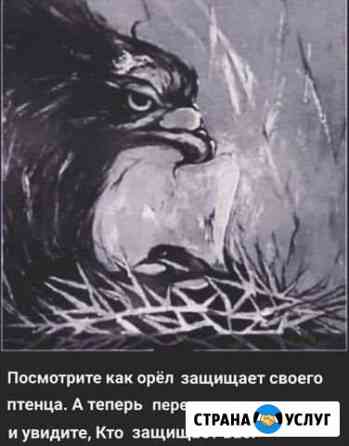Консультант Краснодар