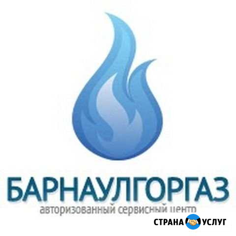 Ремонт газовых котлов Барнаул - изображение 1