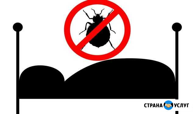 Уничтожение насекомых Челябинск - изображение 1