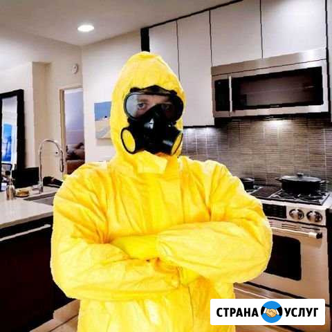 Дезинфекция Уничтожение Тараканов Клопов Мышей Гуково - изображение 1