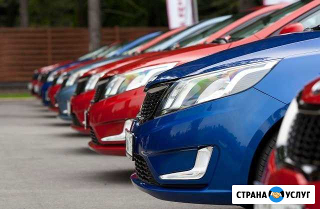 Прокат авто Оренбург Оренбург - изображение 1