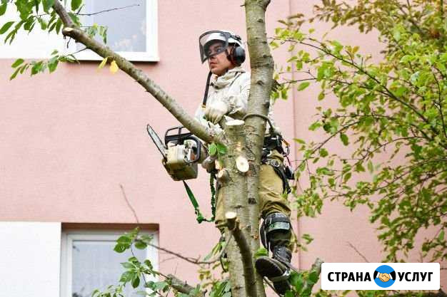 Косим траву, пилим деревья, убираем территорию Вятские Поляны - изображение 1