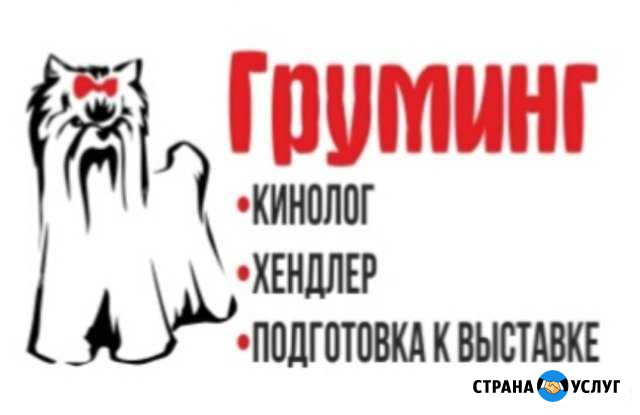 Грумер (Стрижка собак, экспресс линька) Ростов-на-Дону - изображение 1