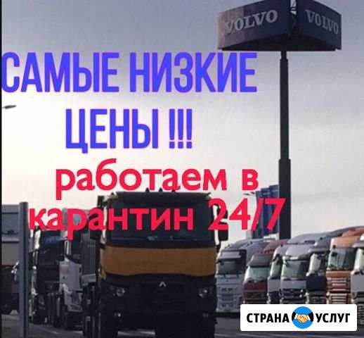 Автоэлектрик -Диагност с выездом все районы 24 /7ч Санкт-Петербург - изображение 1