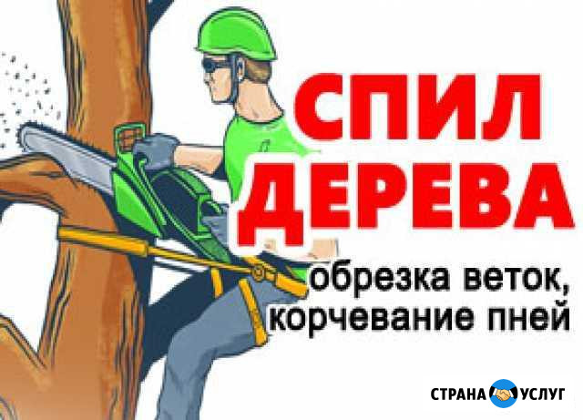 Спил и санитарная обрезка деревьев, кустарников Миасс - изображение 1