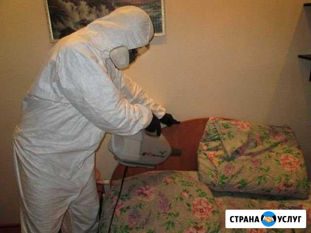 Дезинсекция квартиры, дома Магнитогорск - изображение 1