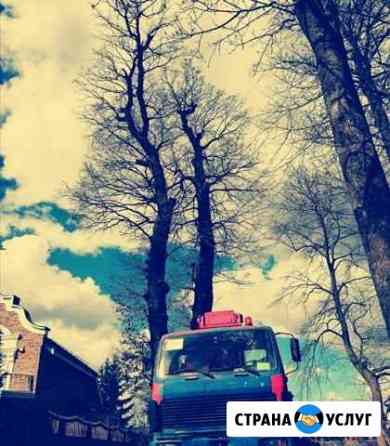 Расчистка участка, Спил деревьев Обрезка Покос тра Калининград