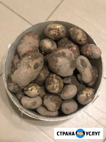 Продукты питания Псков - изображение 1