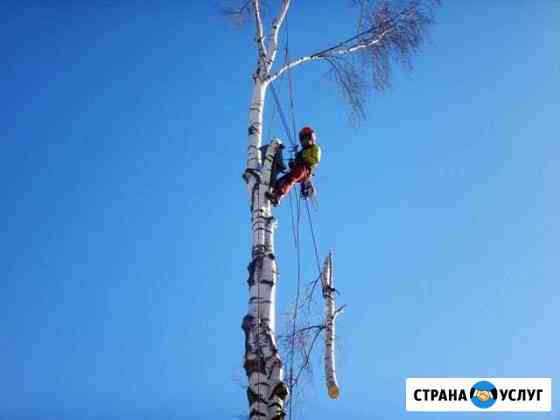 Спилю профессионально, деревья любой сложности Азов