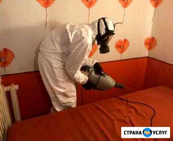 Уничтожение клопов и тараканов Янино-1