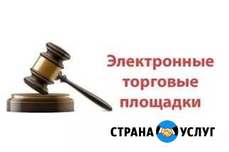 Проведение электронных торгов Курган - изображение 1