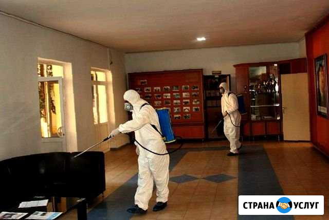 Уничтожение клещей, тараканов, клопов, плесени Калуга - изображение 1