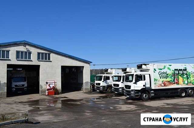 Ремонт грузового транспорта и прицепной техники Подольск - изображение 1