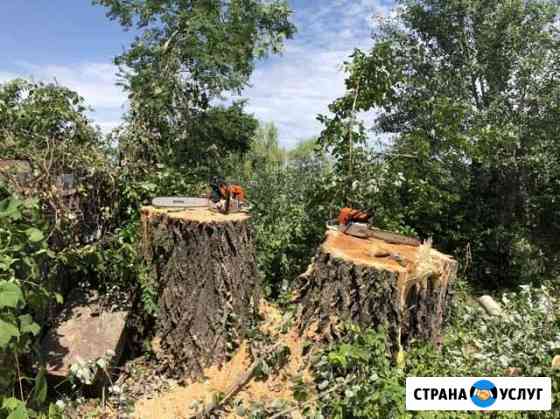 Спиливание деревьев Воронеж