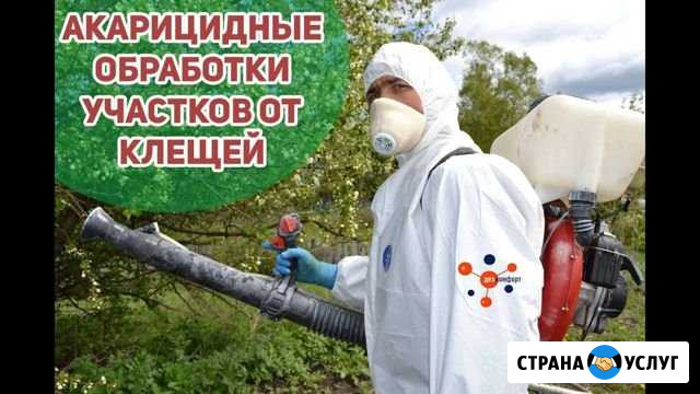 Уничтожение Клещей, Тараканов,Клопов,Блох,Мышей Новочеркасск - изображение 1