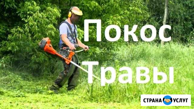 Покос травы Калининград - изображение 1